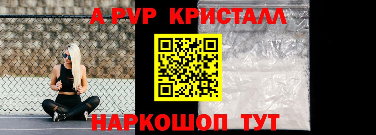 A-PVP СК КРИС Губкинский