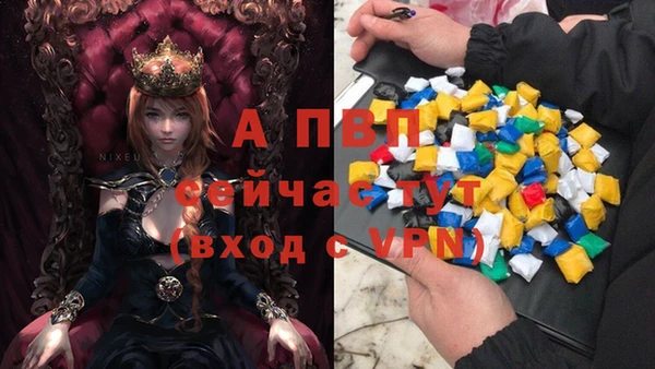 сатива Волосово