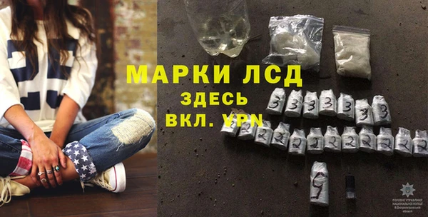 сатива Волосово