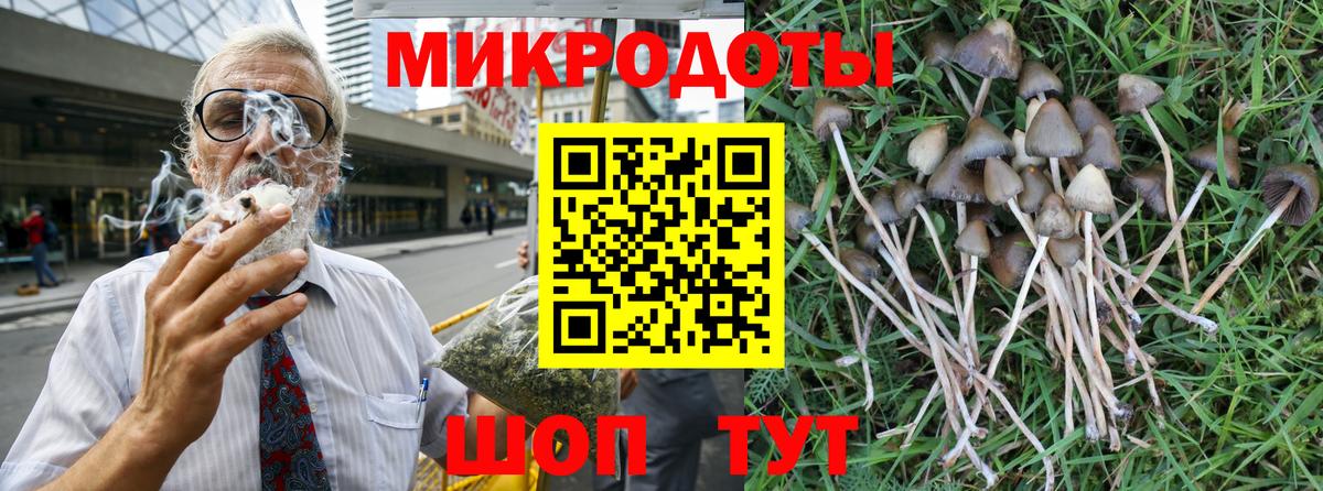 Губкинский  Галлюциногенные грибы Psilocybine cubensis  Вход с VPN 
