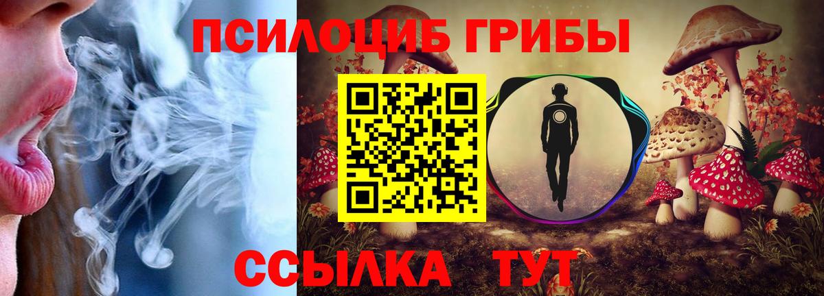 Галлюциногенные грибы Cubensis  Губкинский  где продают наркотики  Галлюциногенные грибы Magic Shrooms 