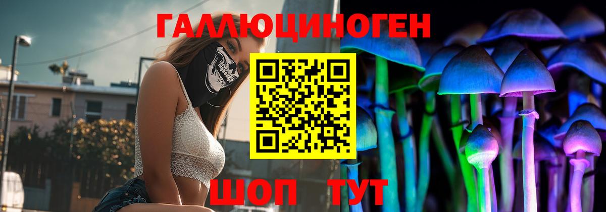Псилоцибиновые грибы Psilocybe Губкинский