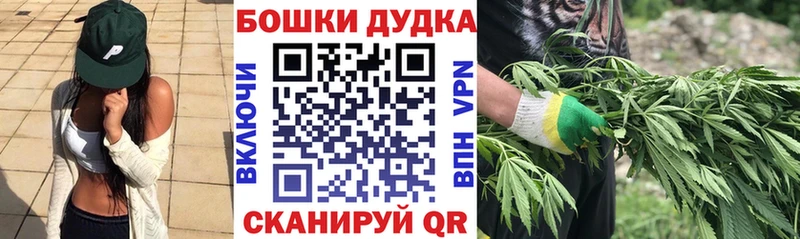 Шишки марихуана марихуана  Губкинский 